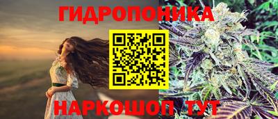 скорость Пенза