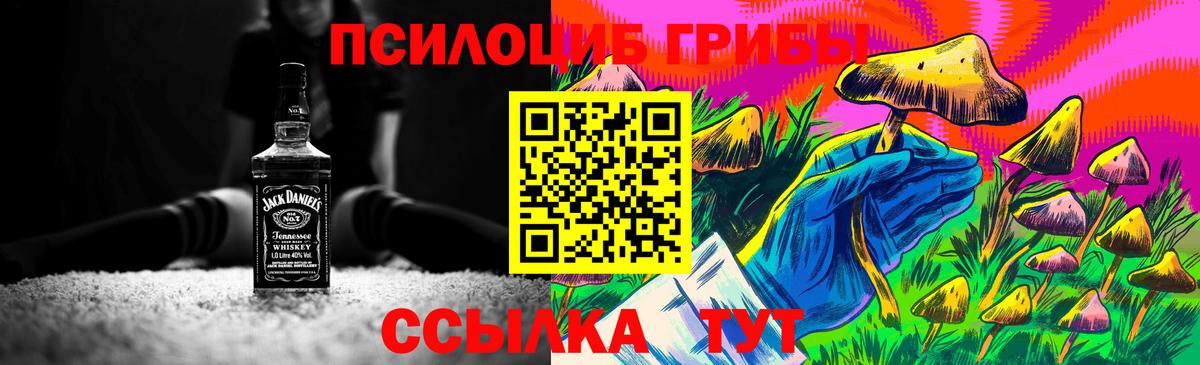 Псилоцибиновые грибы GOLDEN TEACHER Свободный